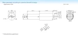 Planetary gear motor