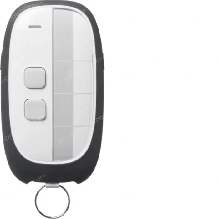 2-channel remote control