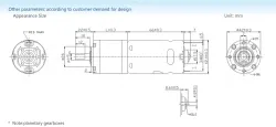 Planetary gear motor