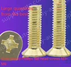 Golden Flat Head Screws M3*20