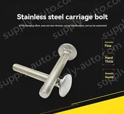 Big head carriage bolt M6*110